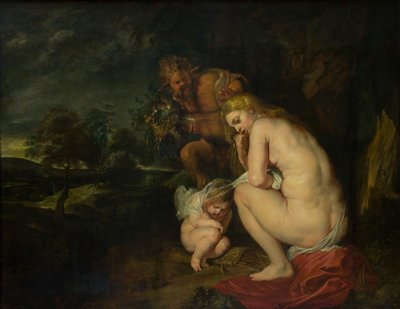 Venus fría de Peter Paul Rubens